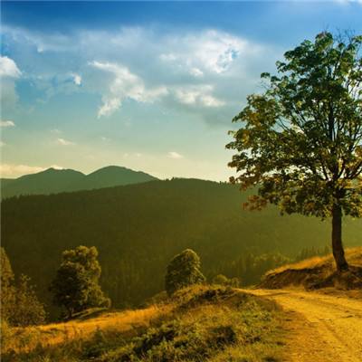 凯发游戏手机app下载