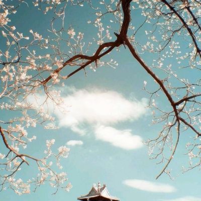 真人百家家乐网站